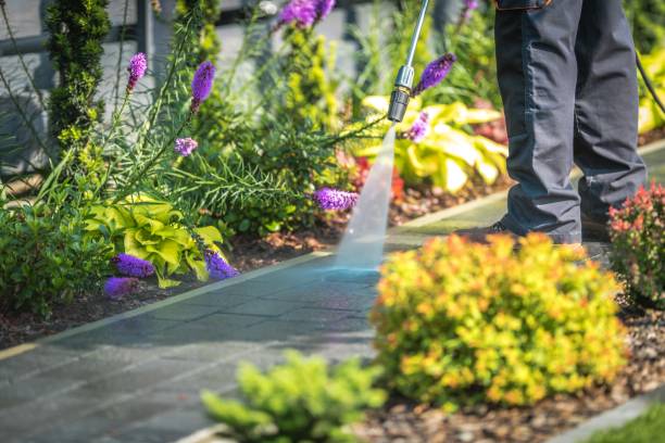 Taft, CA Pressure Washing Services Company